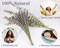 68 PCS Dried Eucalyptus Stems & Lavender Flowers Bundle for Shower,17'' Natural Real Live Eucalyptus Leaves & Aromatic Lavender Shower Plant, Mother's Day, Home Decoration,Fragrance